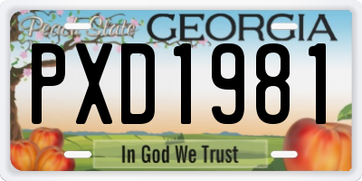 GA license plate PXD1981