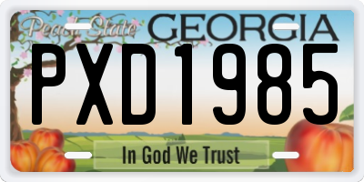 GA license plate PXD1985