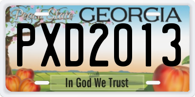 GA license plate PXD2013