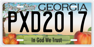 GA license plate PXD2017