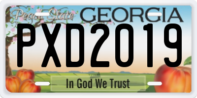 GA license plate PXD2019