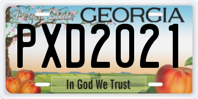 GA license plate PXD2021