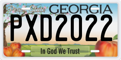 GA license plate PXD2022