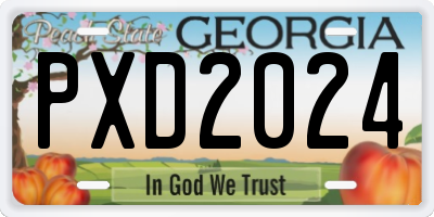 GA license plate PXD2024