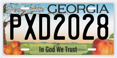 GA license plate PXD2028