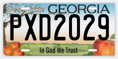 GA license plate PXD2029