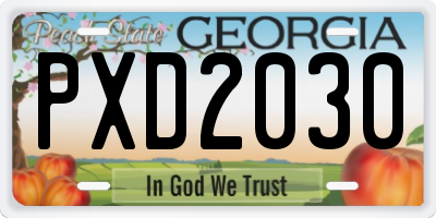 GA license plate PXD2030