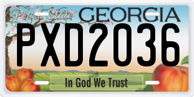 GA license plate PXD2036