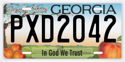 GA license plate PXD2042