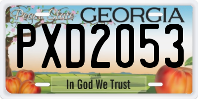 GA license plate PXD2053