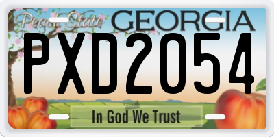 GA license plate PXD2054
