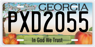 GA license plate PXD2055