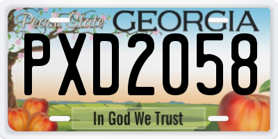 GA license plate PXD2058
