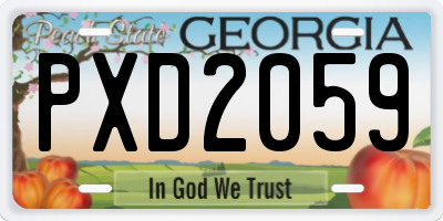 GA license plate PXD2059