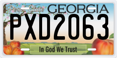 GA license plate PXD2063