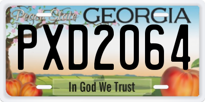 GA license plate PXD2064