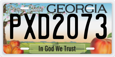 GA license plate PXD2073