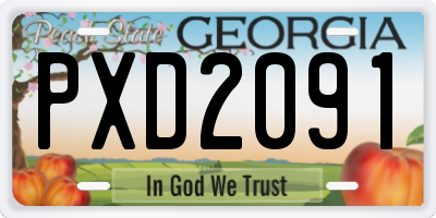 GA license plate PXD2091