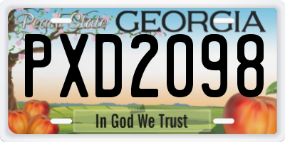 GA license plate PXD2098