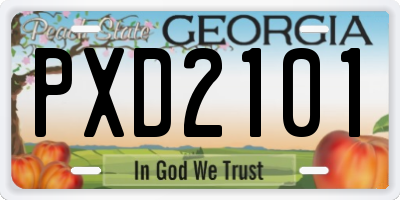 GA license plate PXD2101