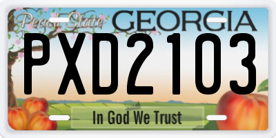 GA license plate PXD2103