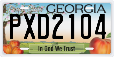 GA license plate PXD2104