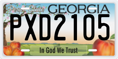 GA license plate PXD2105