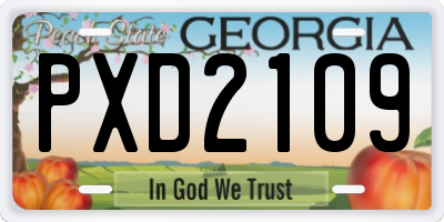 GA license plate PXD2109