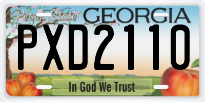 GA license plate PXD2110