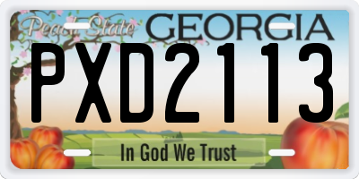 GA license plate PXD2113