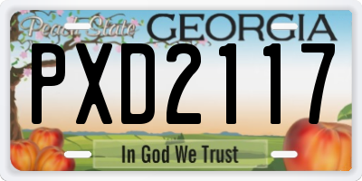 GA license plate PXD2117