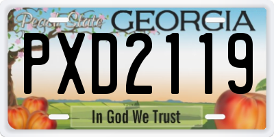 GA license plate PXD2119