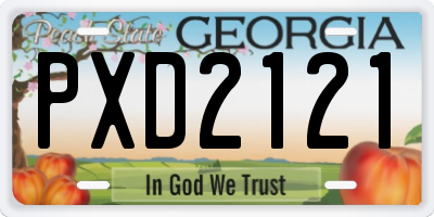GA license plate PXD2121