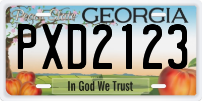 GA license plate PXD2123