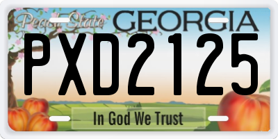 GA license plate PXD2125