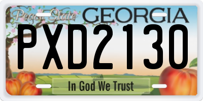 GA license plate PXD2130