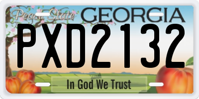 GA license plate PXD2132