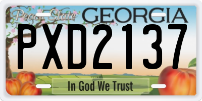 GA license plate PXD2137