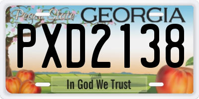 GA license plate PXD2138