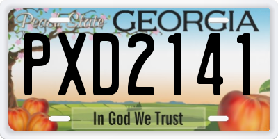 GA license plate PXD2141
