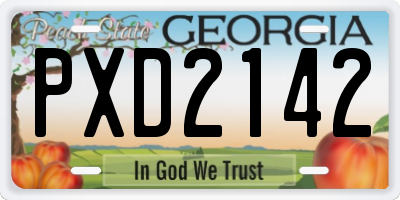 GA license plate PXD2142
