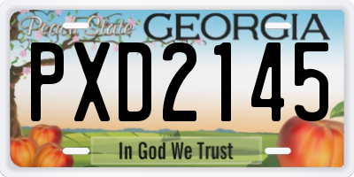 GA license plate PXD2145