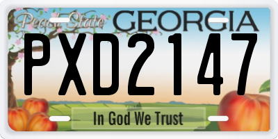 GA license plate PXD2147