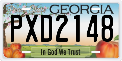 GA license plate PXD2148