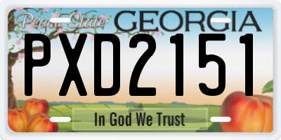 GA license plate PXD2151
