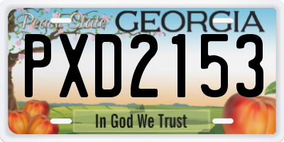 GA license plate PXD2153