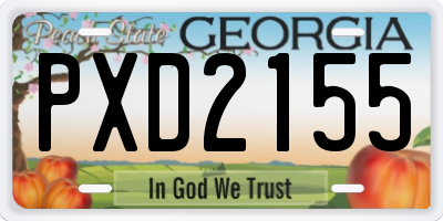 GA license plate PXD2155