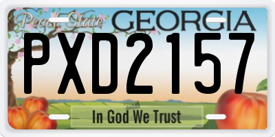 GA license plate PXD2157