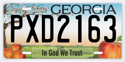 GA license plate PXD2163