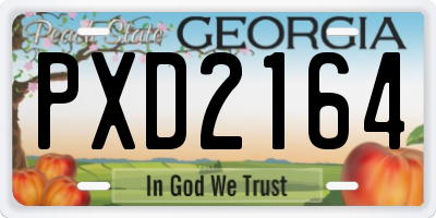GA license plate PXD2164